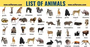 Endagered Animals