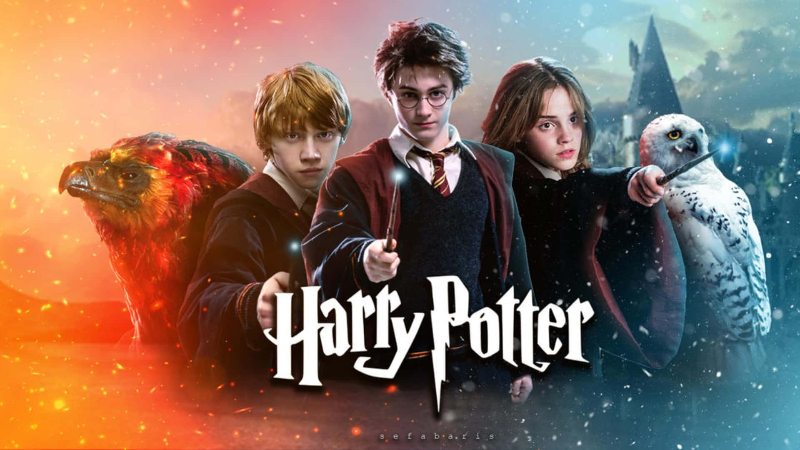 Copy of Harry Potter Characters - Guess Who Template